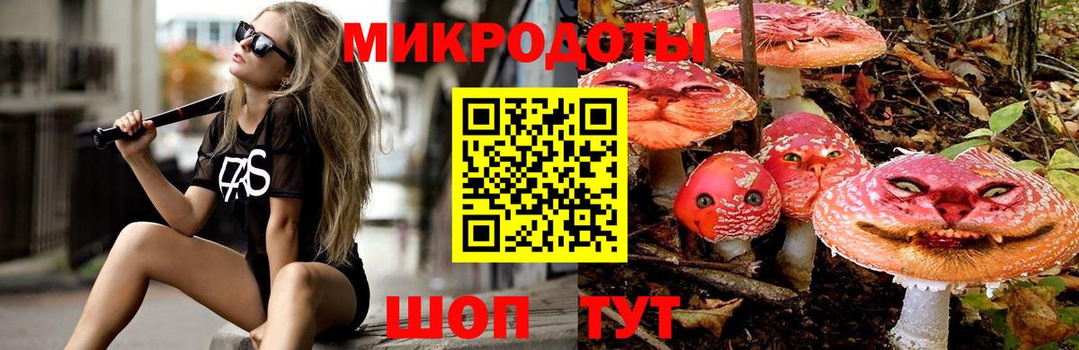 Ревда  Галлюциногенные грибы Psilocybine cubensis  Псилоцибиновые грибы Cubensis  Вход с VPN 